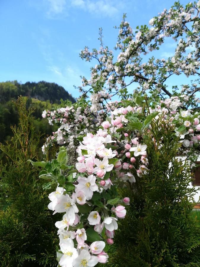 Appartementhaus Grill Strobl Bagian luar foto